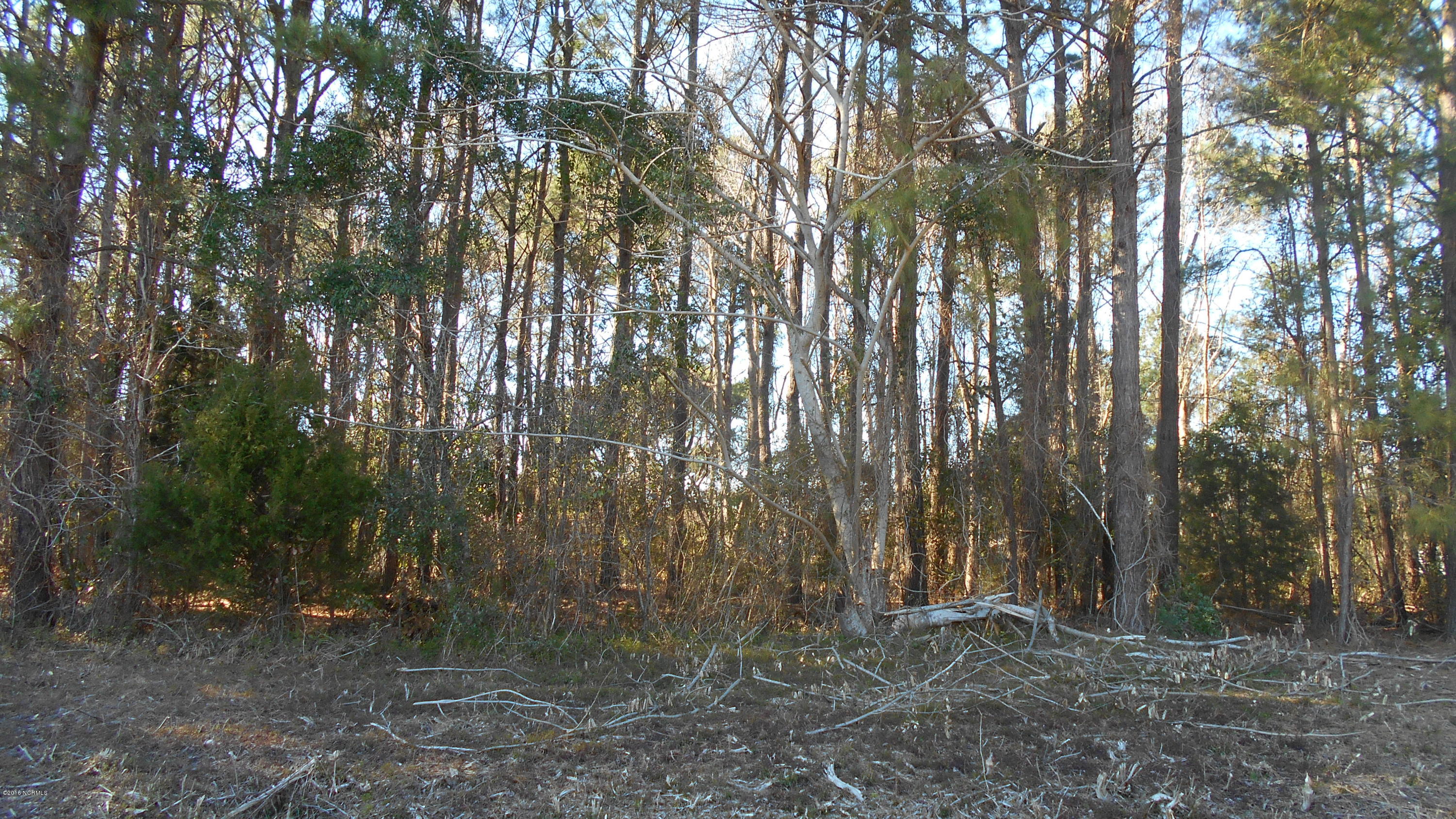 Lot 11 Village Point Road Southwest Shallotte, NC 28470 - Photo 3 of 5 022