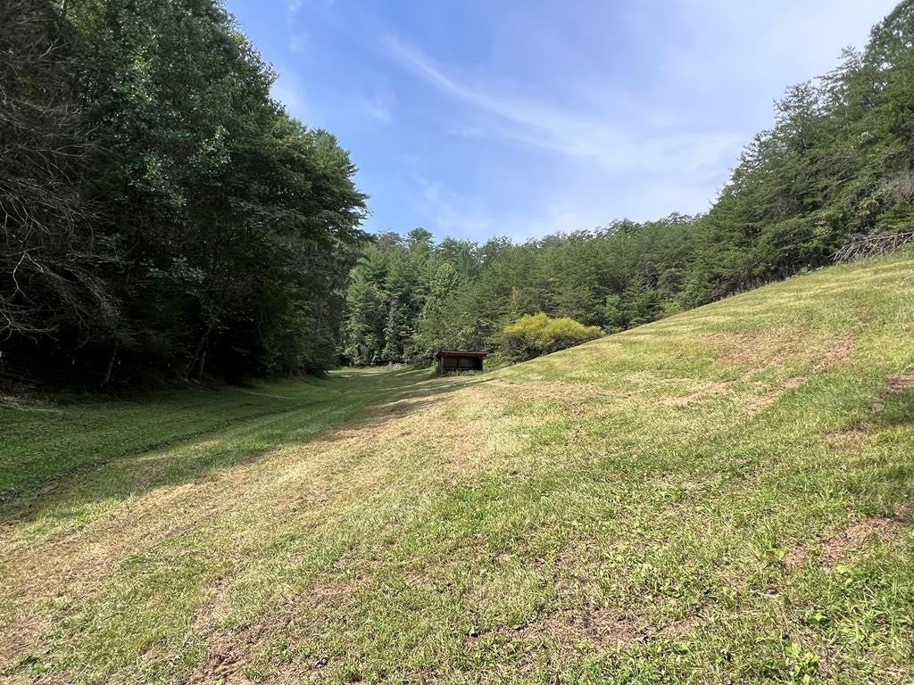 1570 South Helton Road Sevierville, TN 37862 - Photo 14 of 54 Gallery Image 14