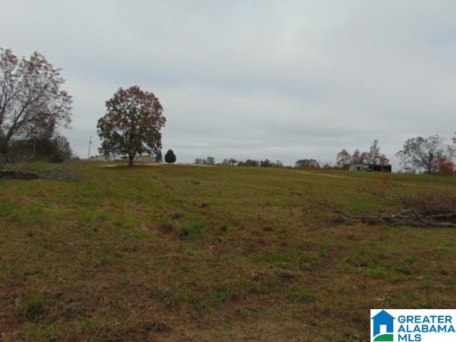 805 County Road 342, Unit 1 Maplesville, AL 36750 - Photo 7 of 7