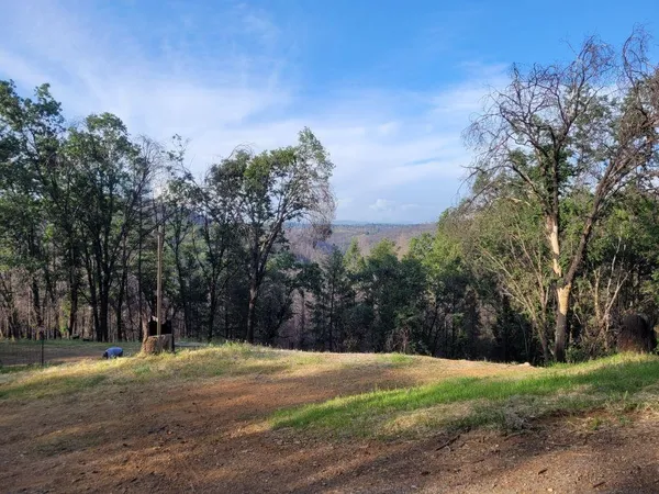 a view of a yard with a tree