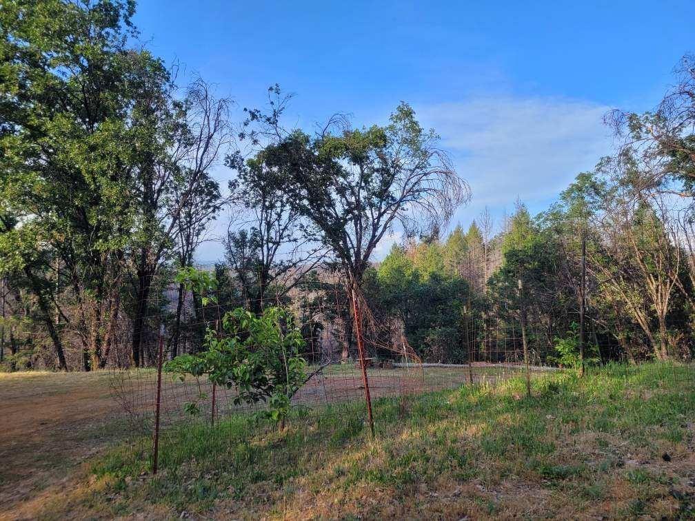 21602 Oxnard Court Grass Valley, CA 95949 - Photo 11 of 11 a view of a park