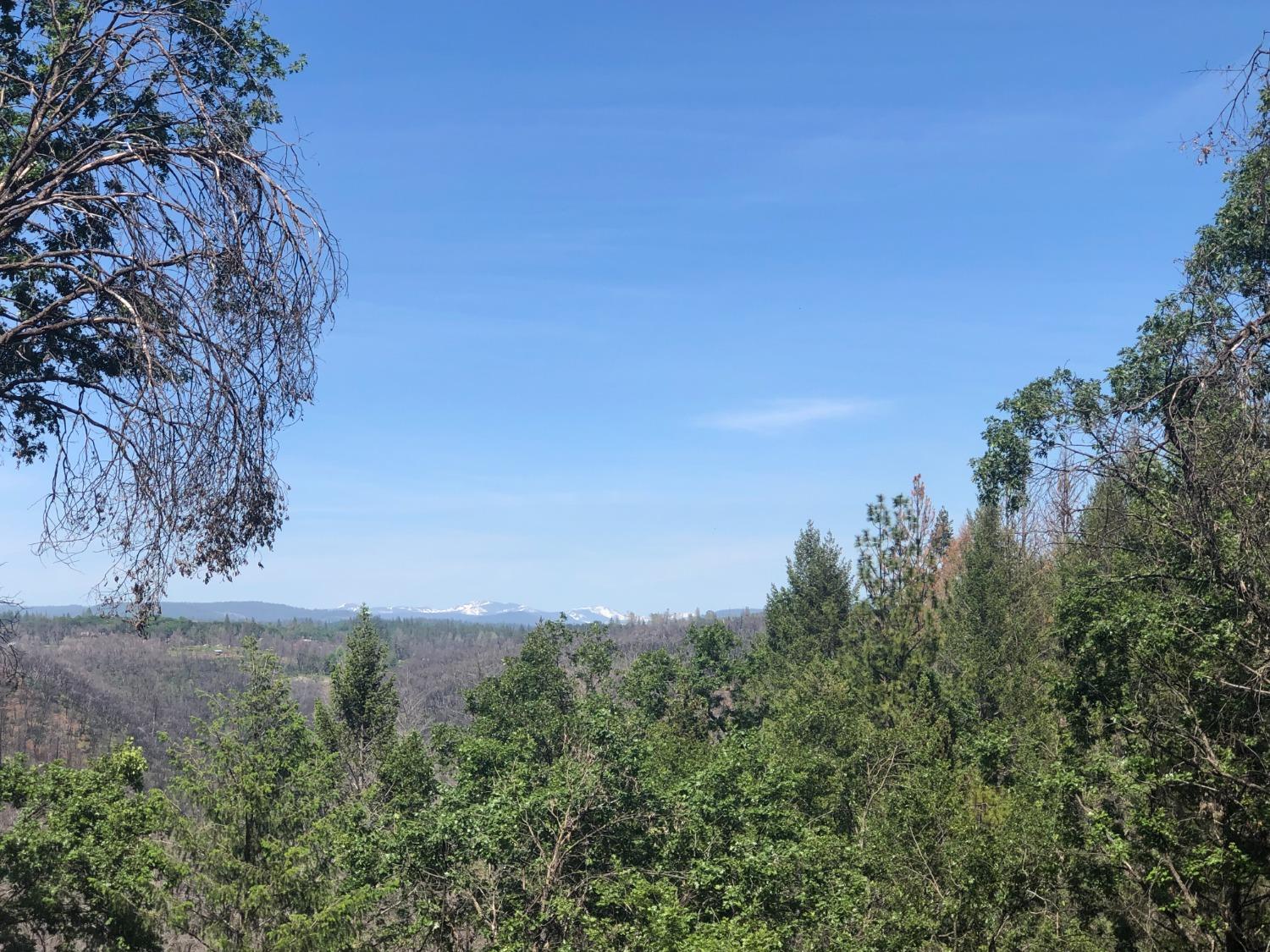 21602 Oxnard Court Grass Valley, CA 95949 - Photo 2 of 11 a view of a yard with a tree