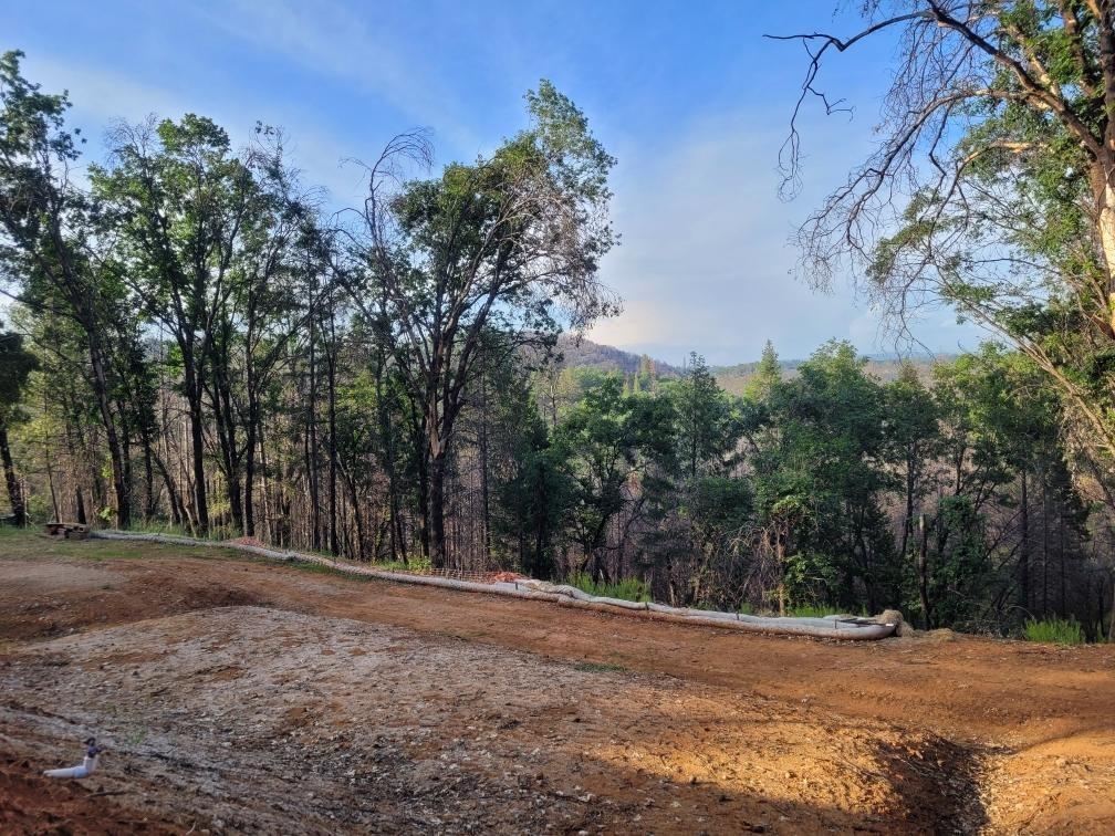 21602 Oxnard Court Grass Valley, CA 95949 - Photo 4 of 11 a view of road with large trees
