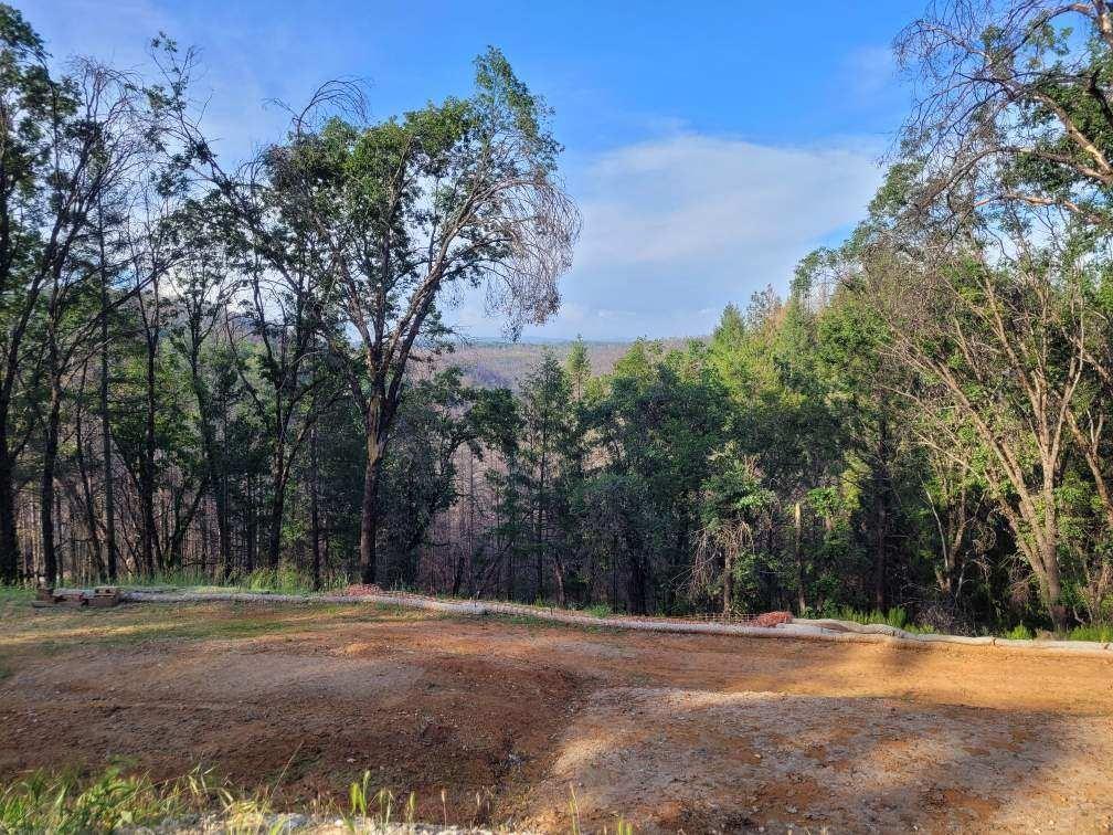 21602 Oxnard Court Grass Valley, CA 95949 - Photo 8 of 11 a view of a yard with a trees