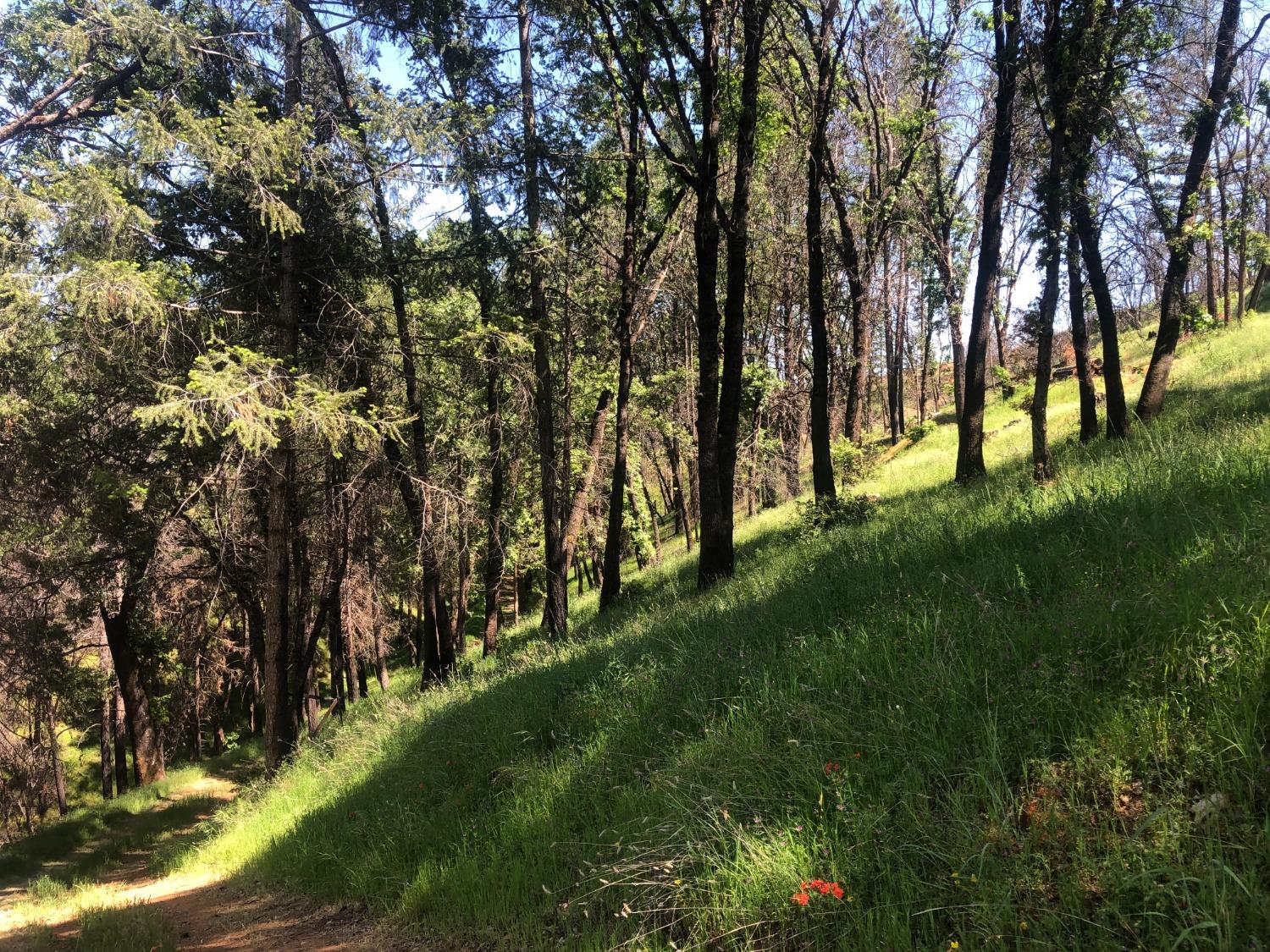 21602 Oxnard Court Grass Valley, CA 95949 - Photo 9 of 11 a view of an outdoor space with a lake view
