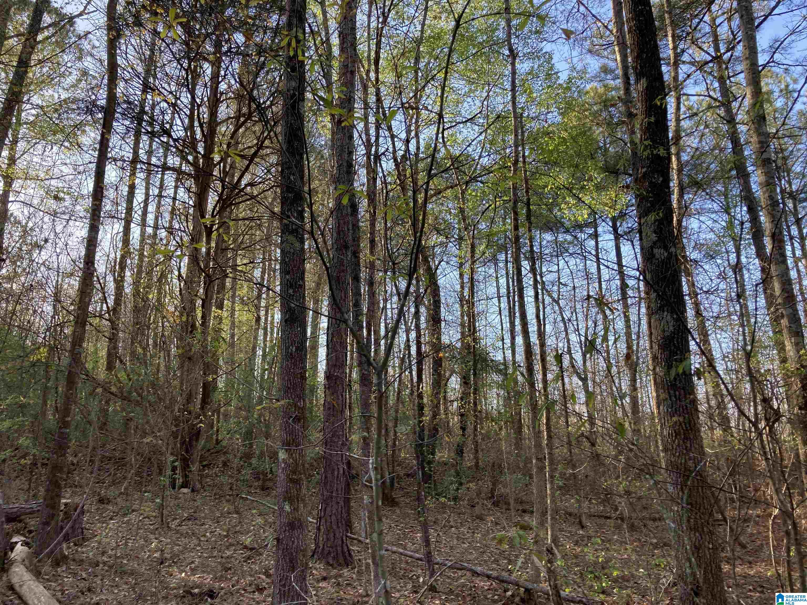 0 Jackson Trace Road, Unit 4 1 Talladega, AL 35160 - Photo 9 of 27