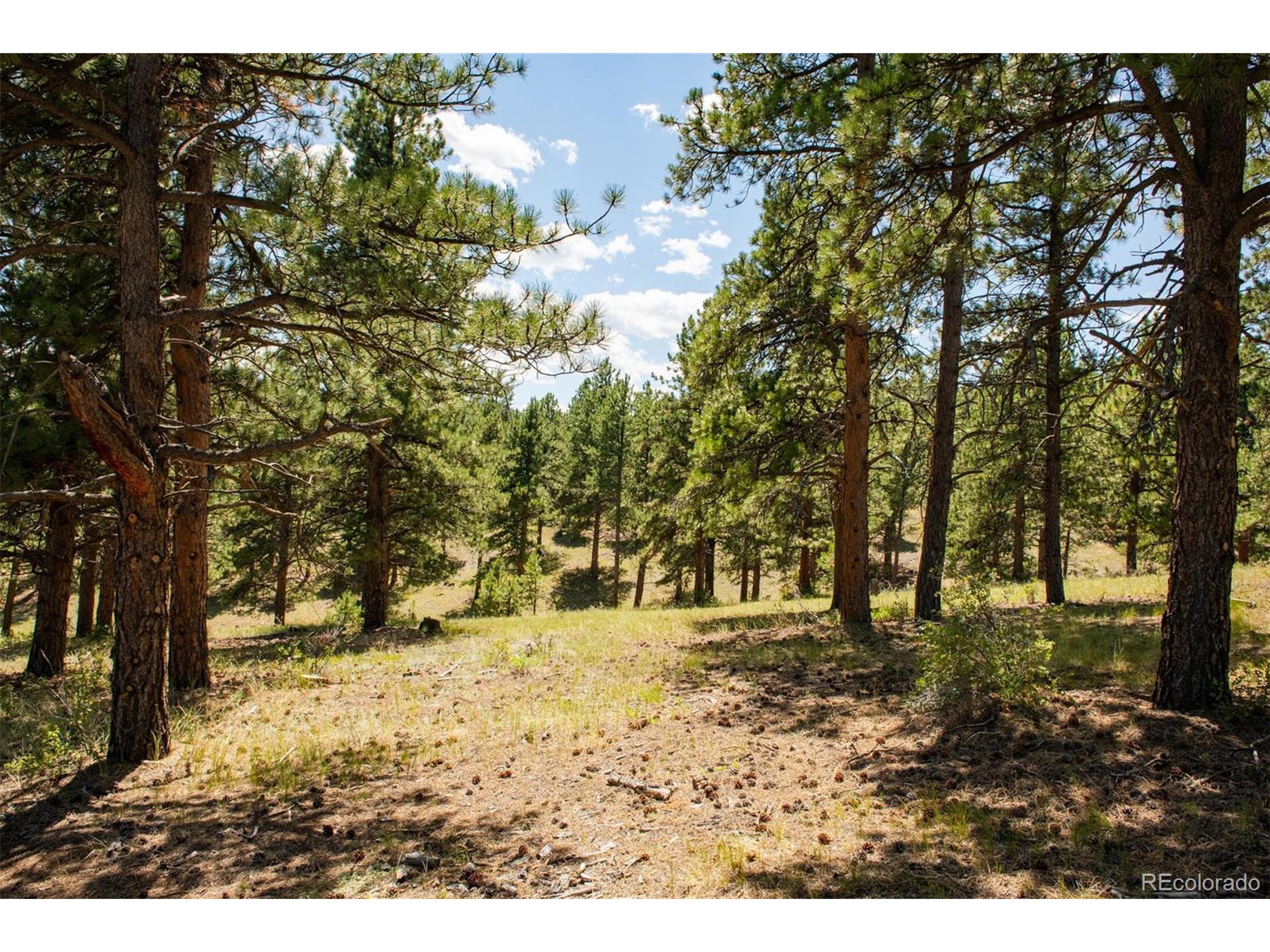 3 Legacy Ranch Evergreen, CO 80439 - Photo 11 of 17