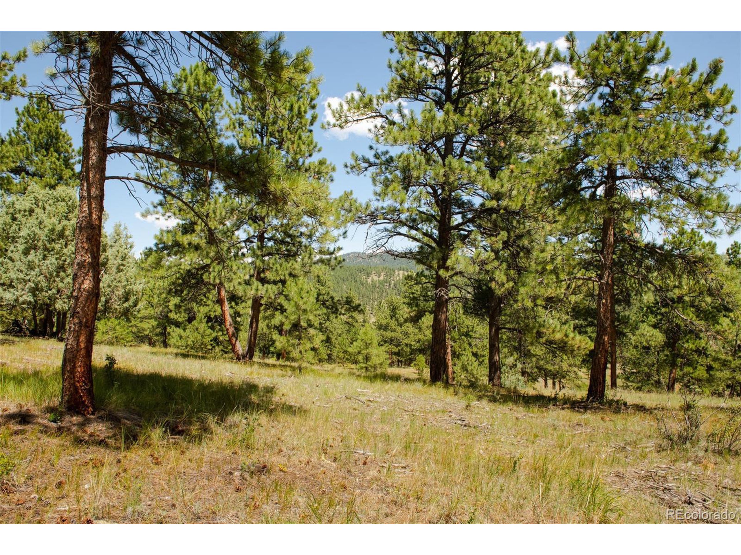 3 Legacy Ranch Evergreen, CO 80439 - Photo 12 of 17