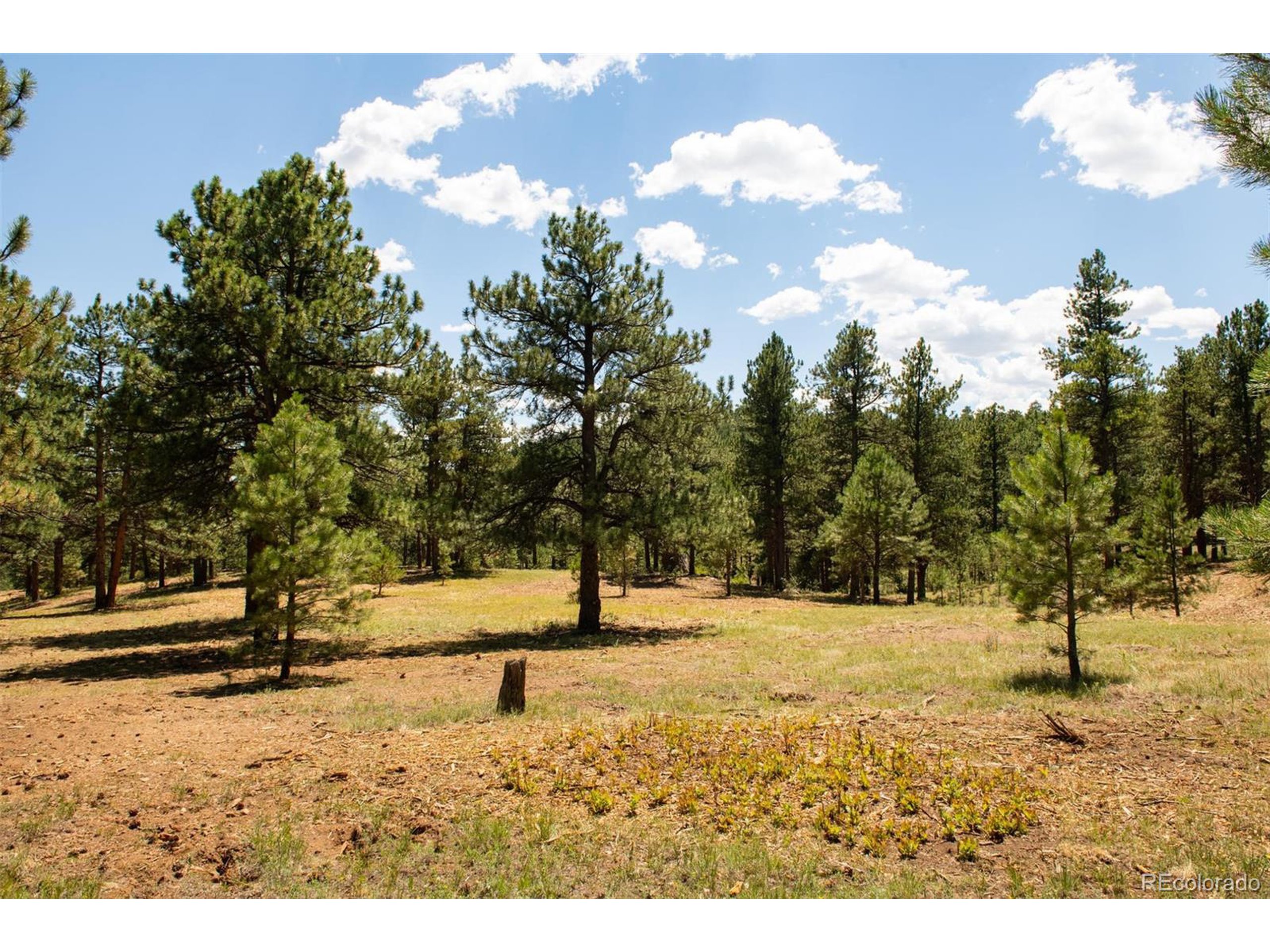 3 Legacy Ranch Evergreen, CO 80439 - Photo 13 of 17