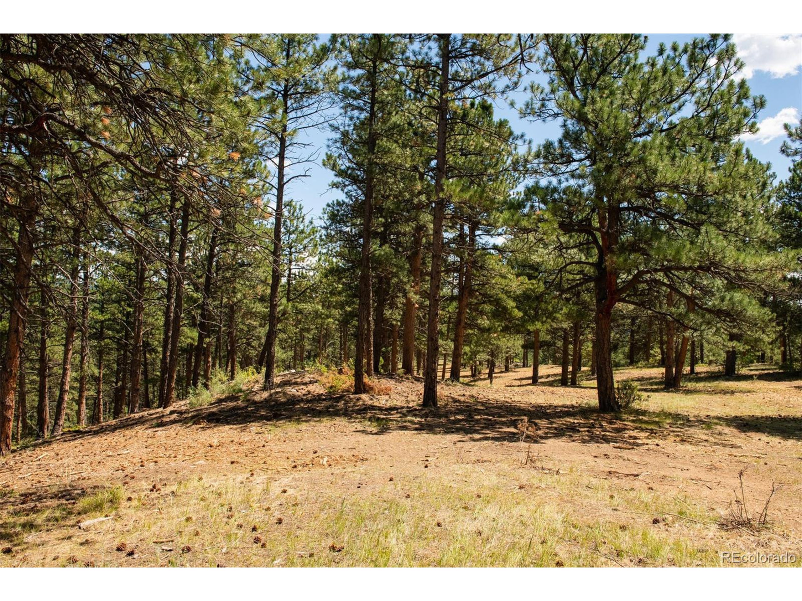 3 Legacy Ranch Evergreen, CO 80439 - Photo 14 of 17