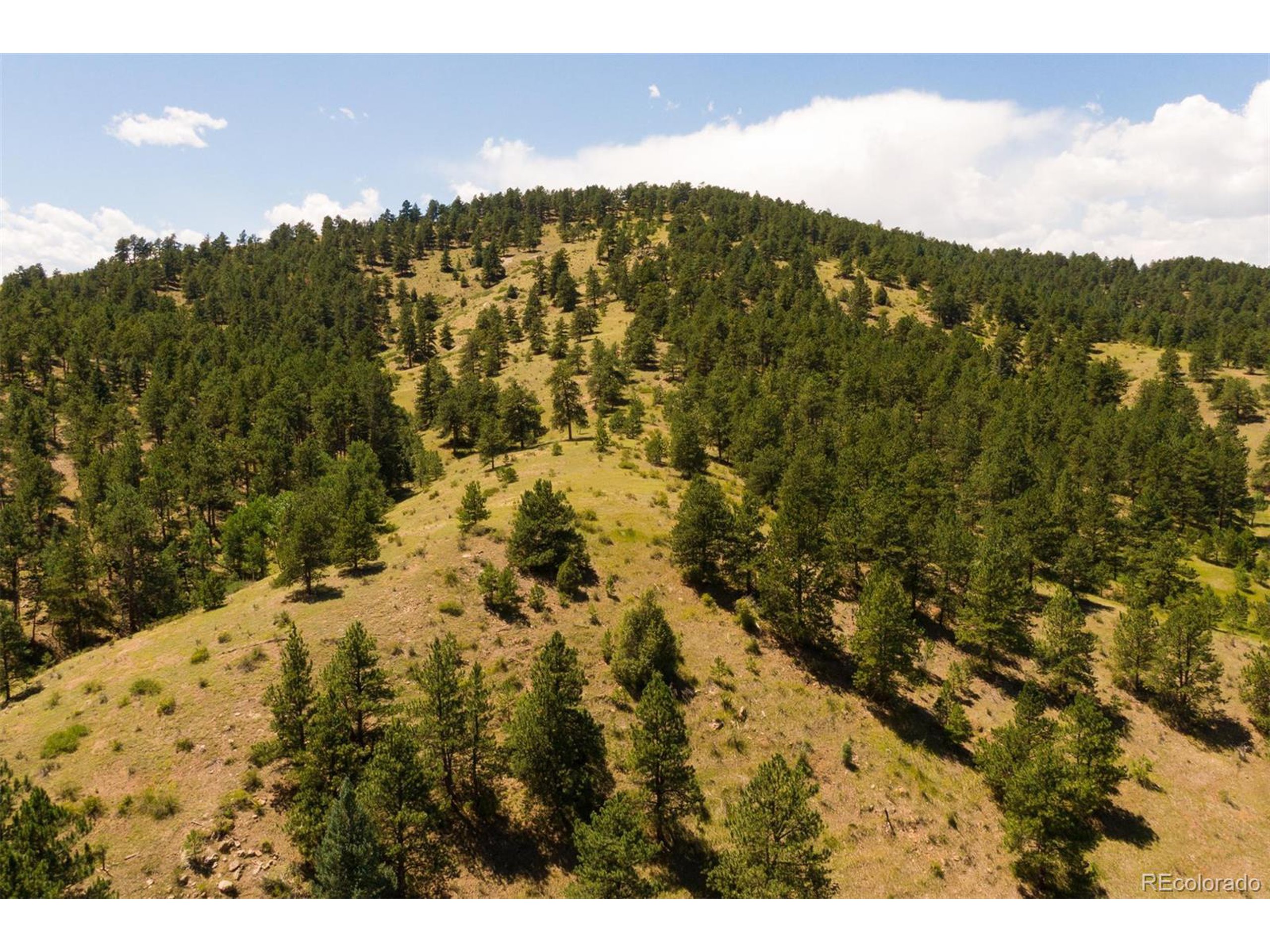 3 Legacy Ranch Evergreen, CO 80439 - Photo 3 of 17