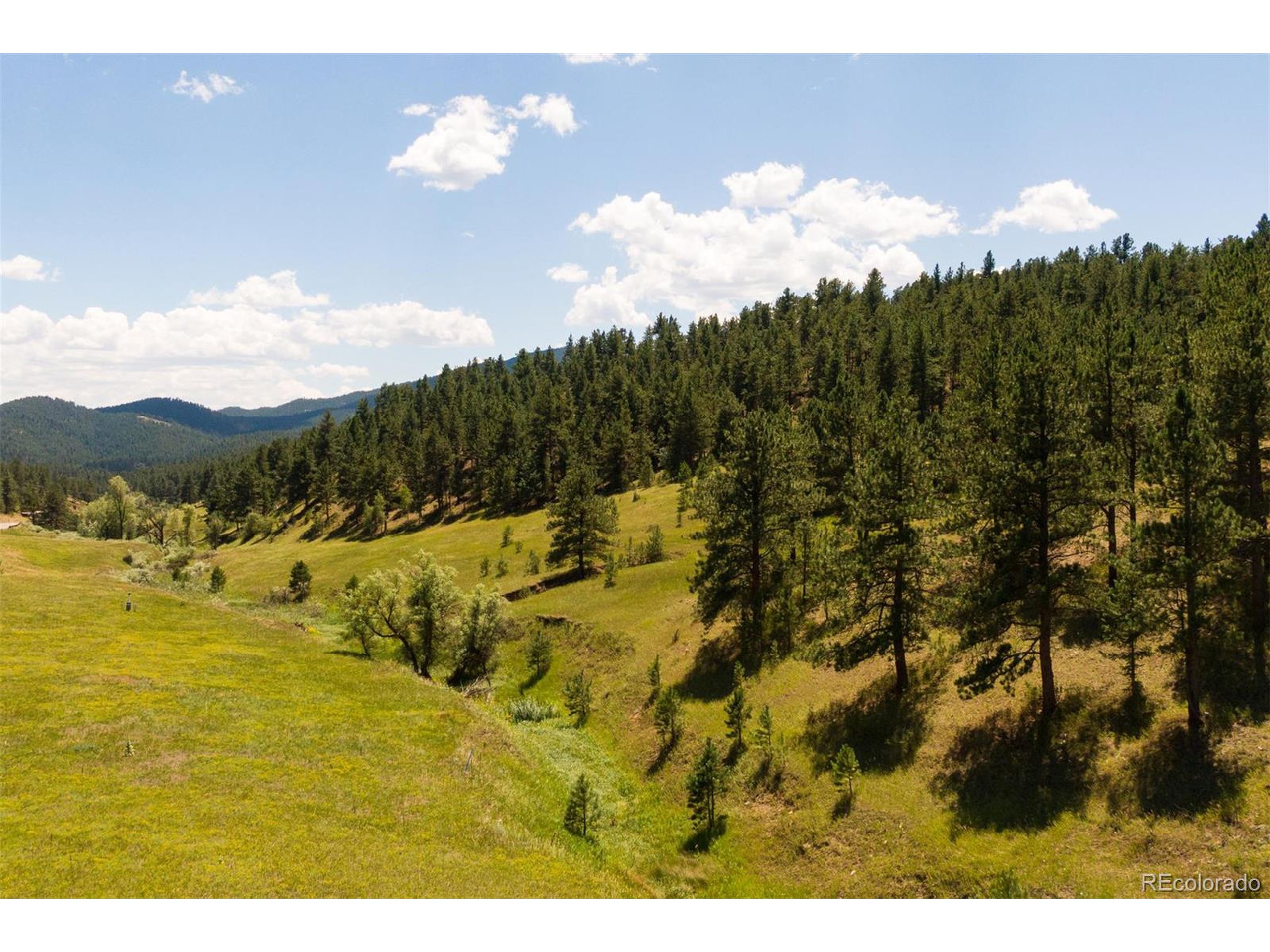 3 Legacy Ranch Evergreen, CO 80439 - Photo 5 of 17