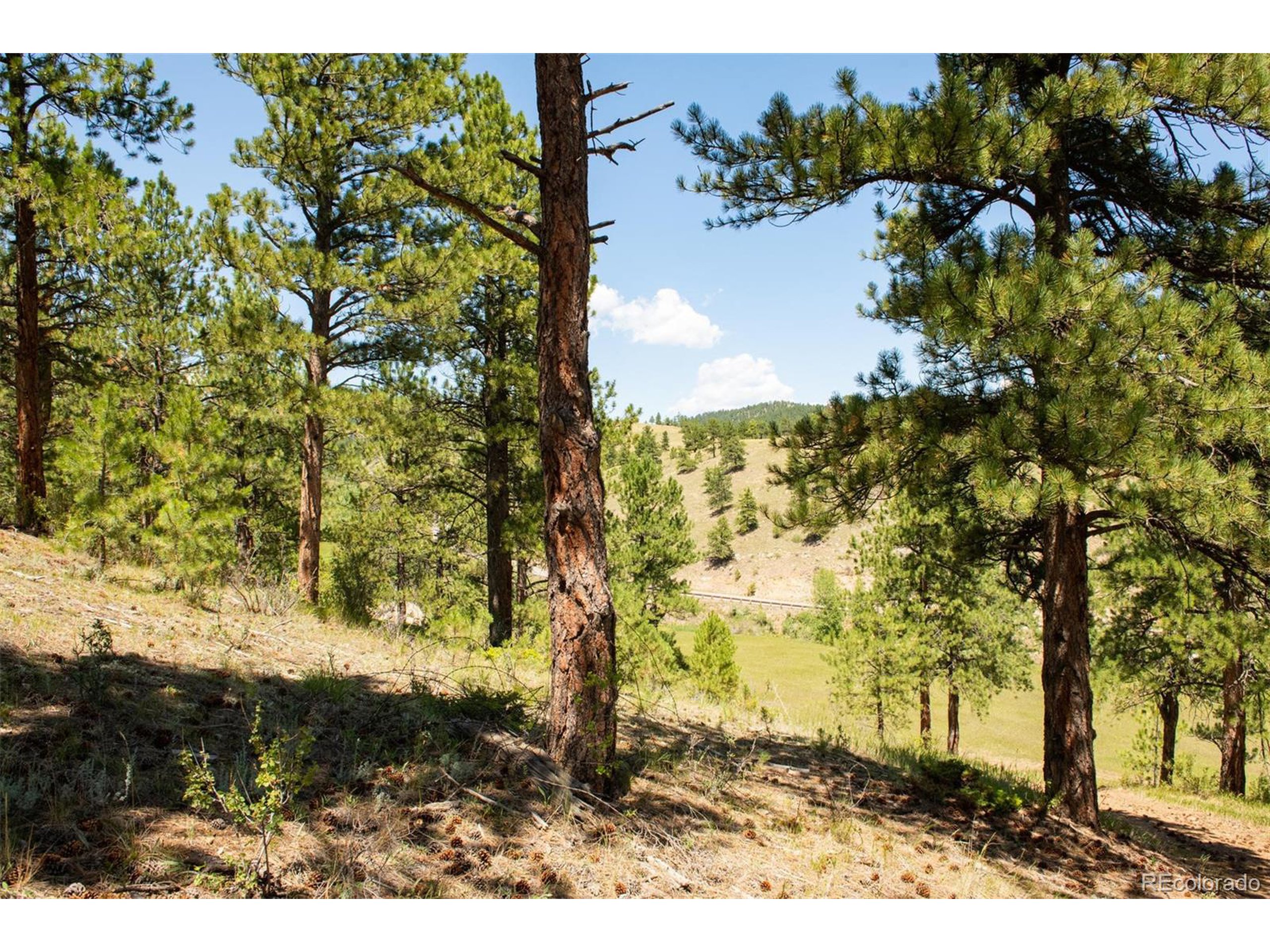 3 Legacy Ranch Evergreen, CO 80439 - Photo 6 of 17