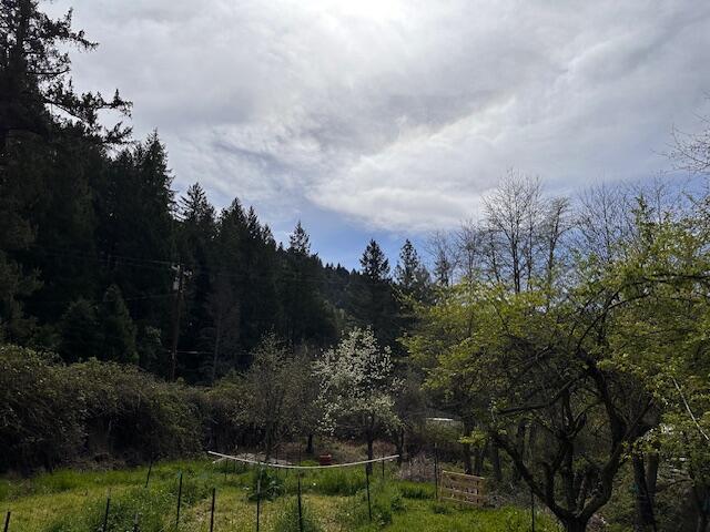 141 Wallen Ranch Road Burnt Ranch, CA 95527 - Photo 21 of 41