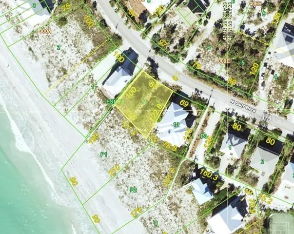 a view of a yard with plants and trees