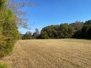 B Larkin Rice Road Saluda, SC 29138 - Photo 4 of 5