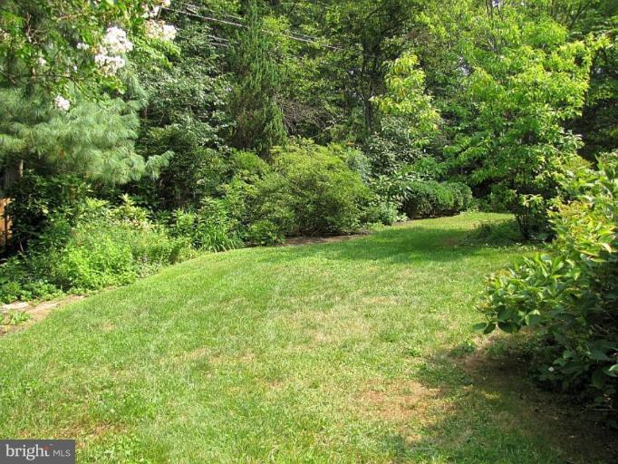 212 Buxton Road Falls Church, VA 22046 - Photo 19 of 24 Back yard