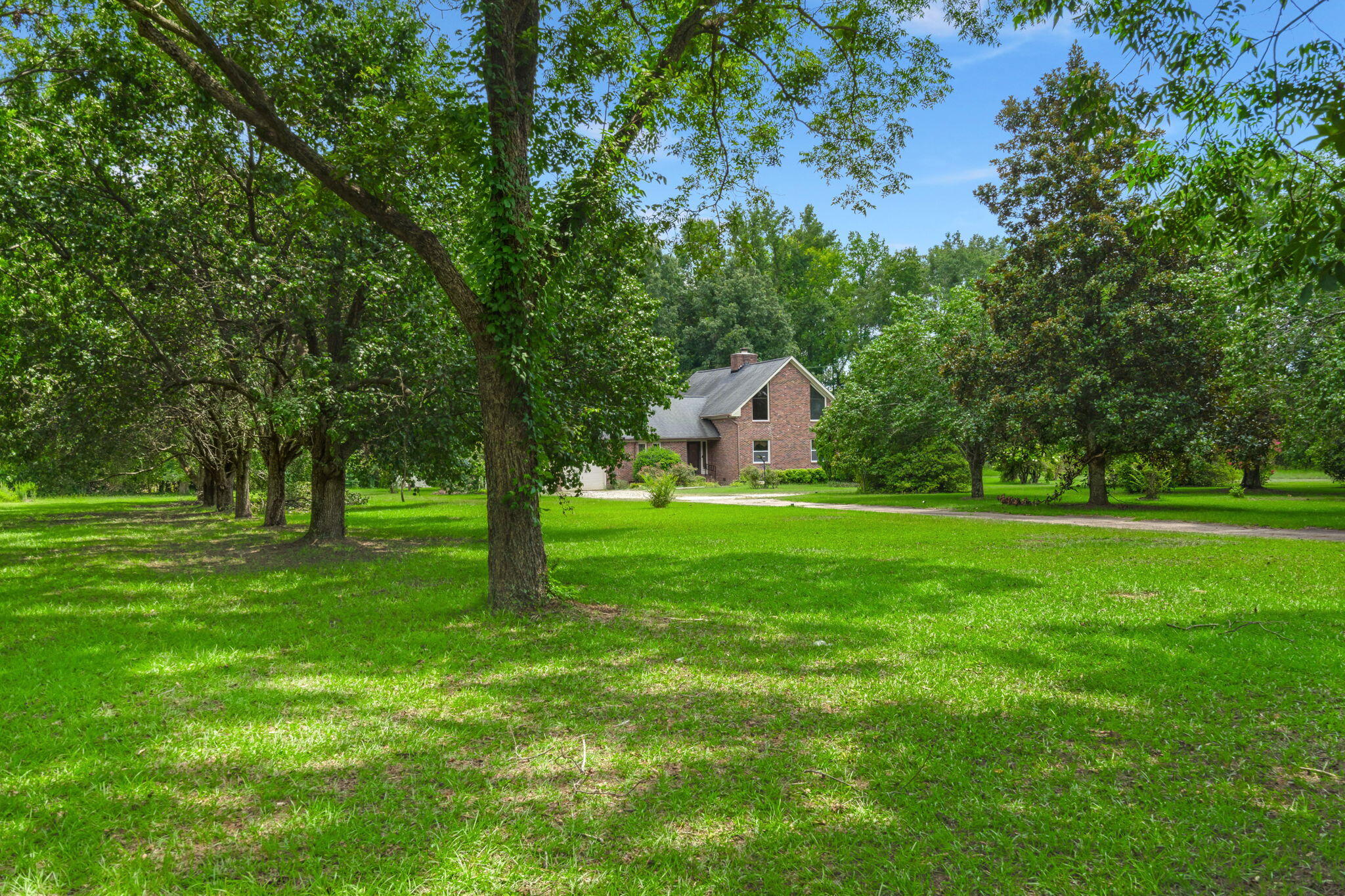 4711 Bamberg Road Cope, SC 29038 - Photo 4 of 41 4