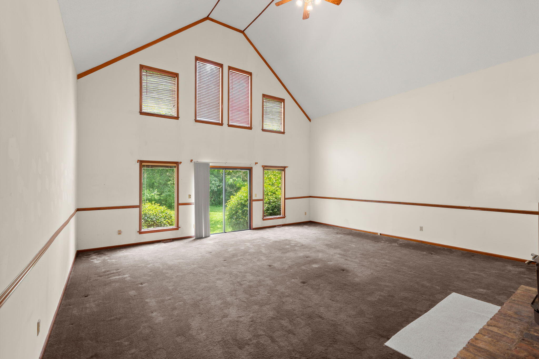 4711 Bamberg Road Cope, SC 29038 - Photo 10 of 41 10