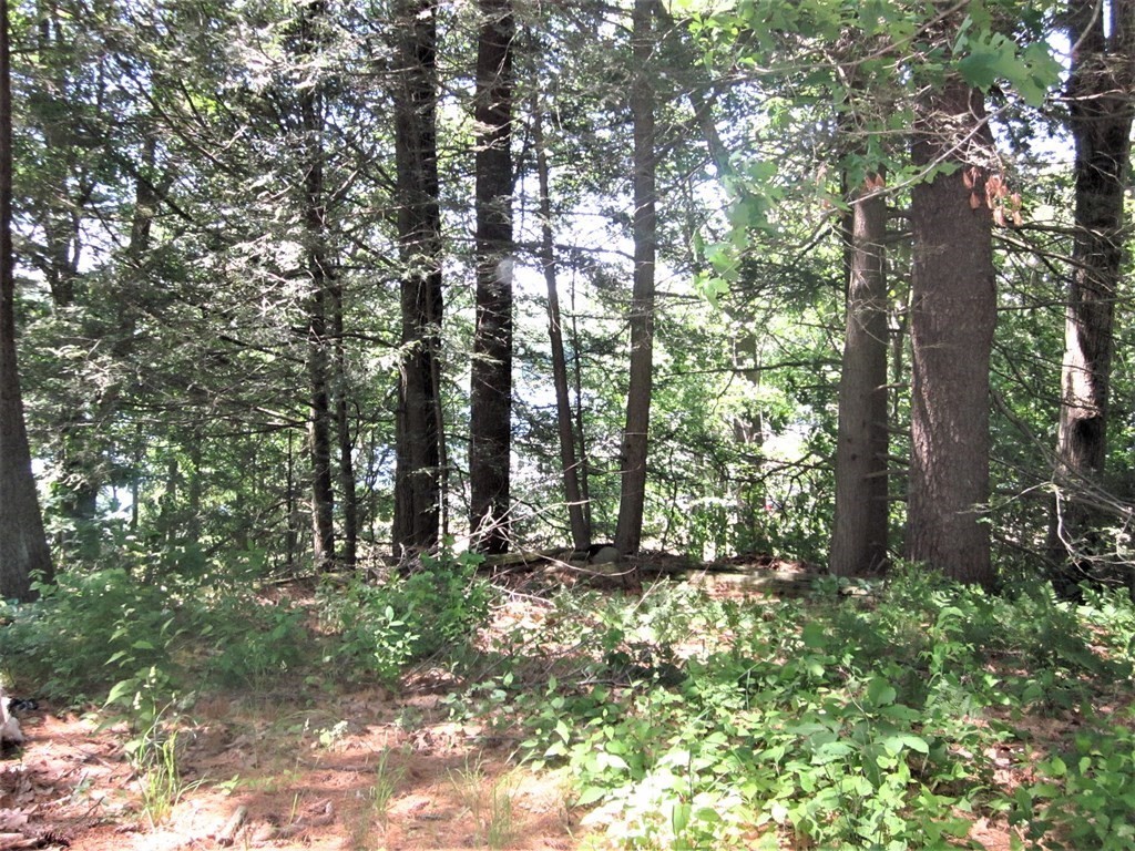 73 Cubles Drive Brimfield, MA 01010 - Photo 28 of 33