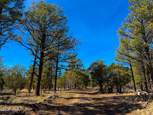 $84,900 | 11 N3139, Vernon, AZ 85940