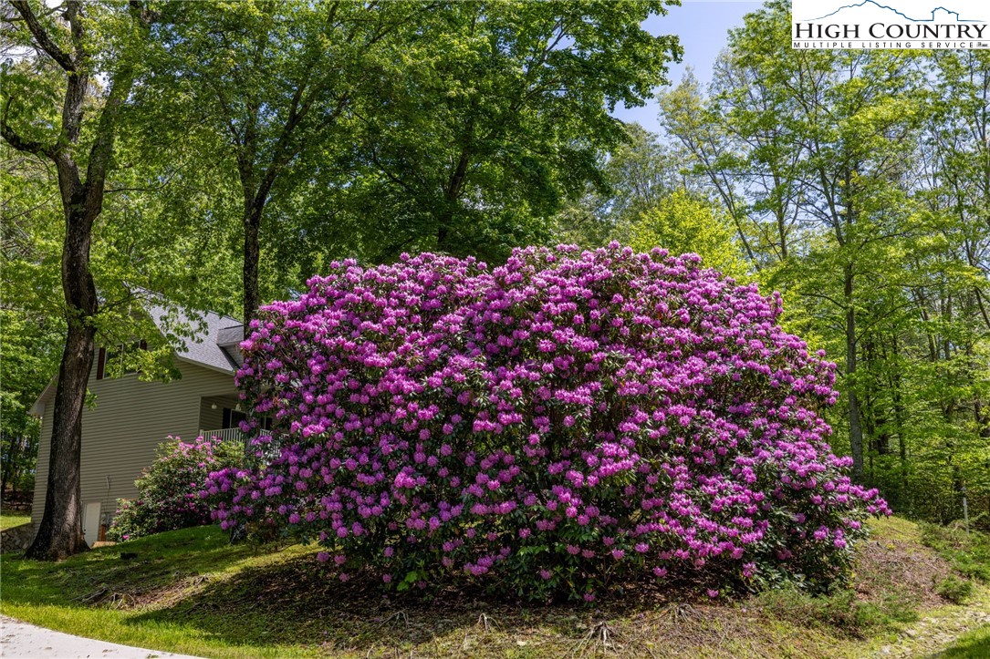 866 Rivers Edge Road Sparta, NC 28675 - Photo 33 of 50 Gallery Image 33