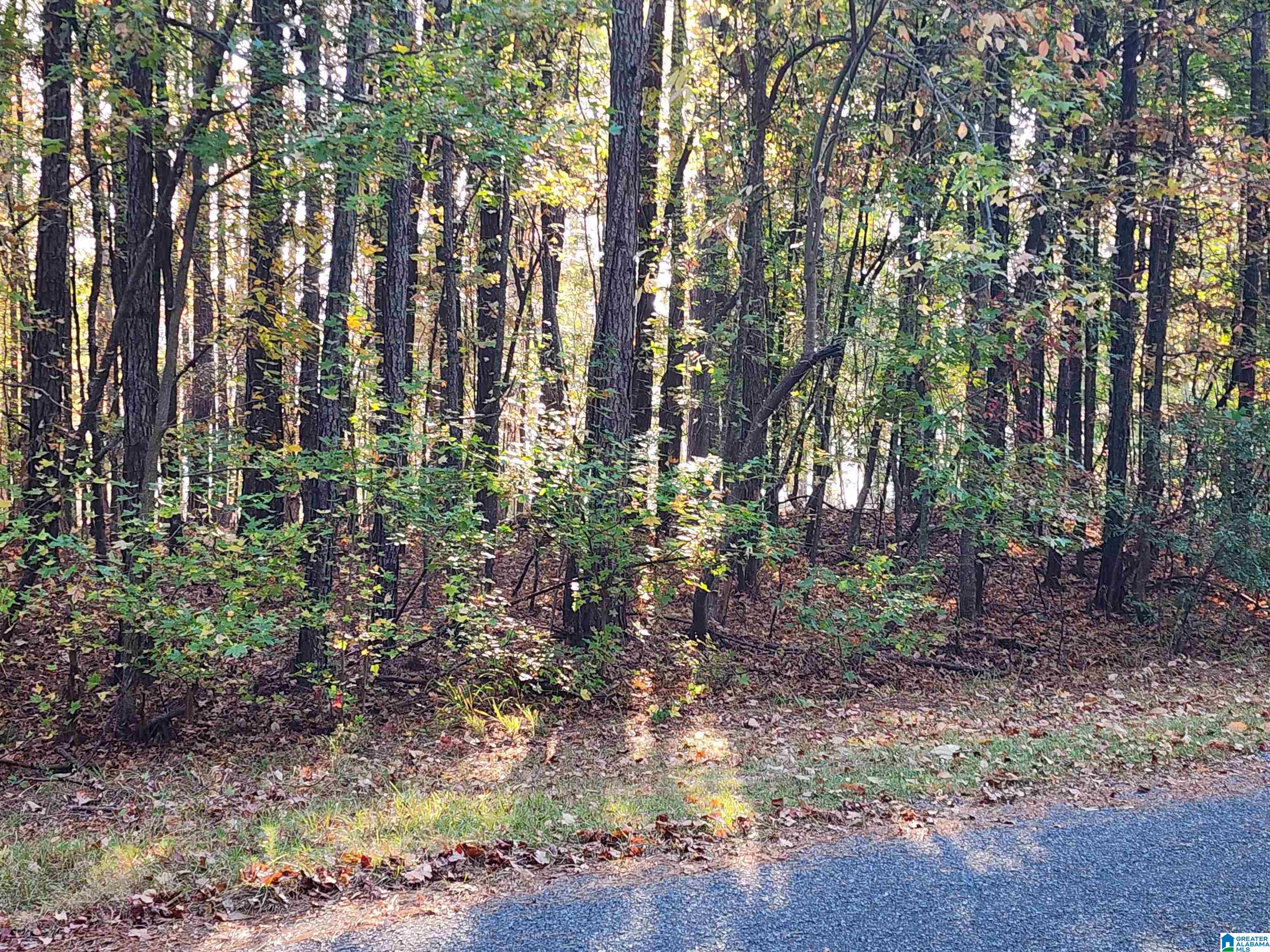 0 Beaver Cove Road, Unit 3 Equality, AL 36026 - Photo 7 of 10 Gallery Image 7