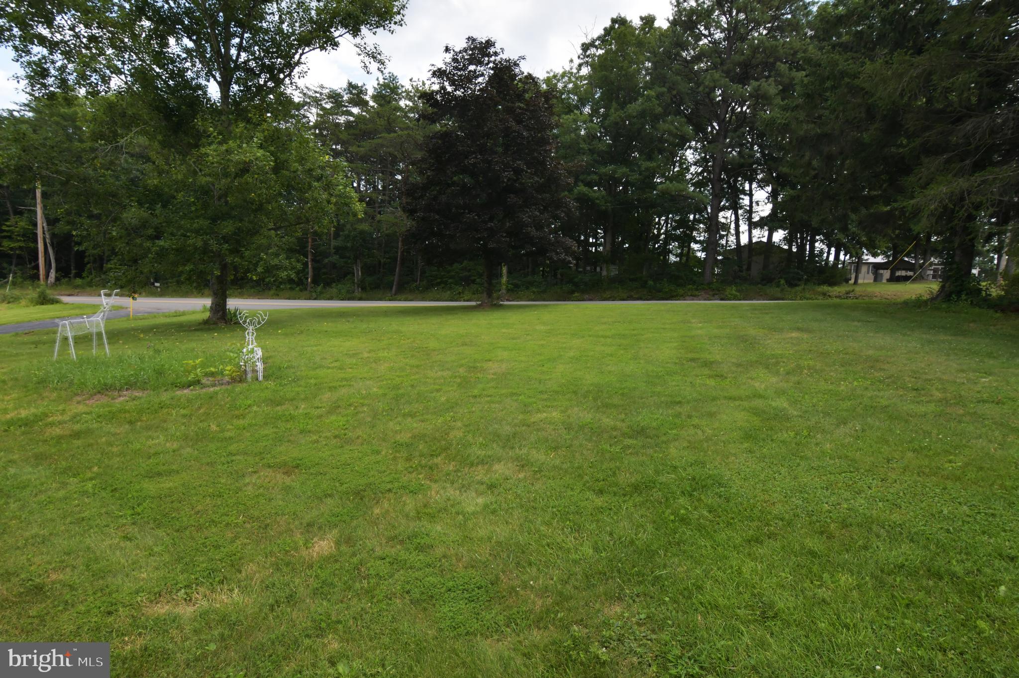 500 Dunmore Ridge Road Augusta, WV 26704 - Photo 40 of 43 Lawn