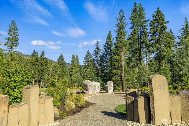 a view of a yard with plants