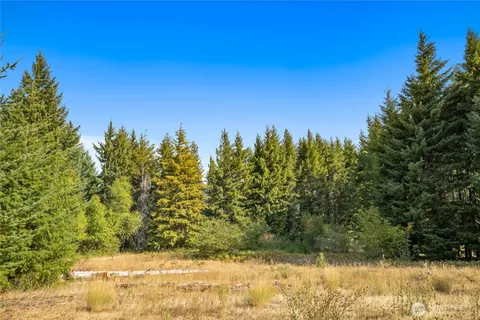 a view of a yard with a tree