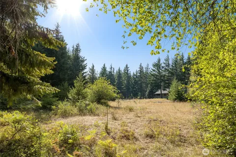 a view of a yard covered with snow in outdoor space