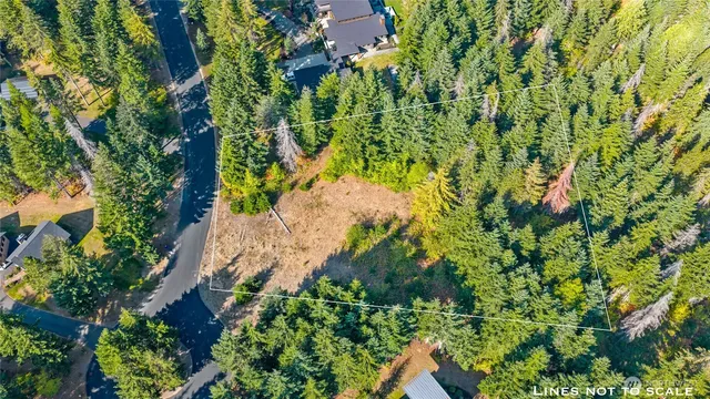 an aerial view of a yard with plants
