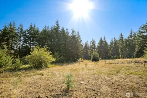 a view of a yard covered with snow in outdoor space