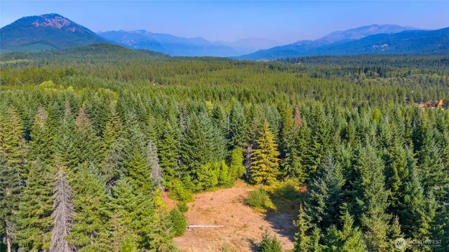 a view of an lush green mountain