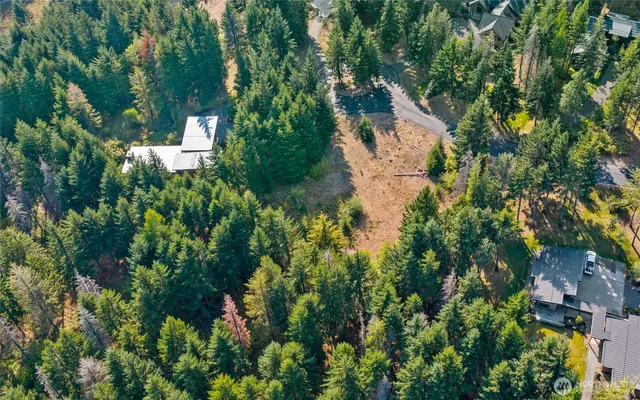 an aerial view of residential house with outdoor space and trees all around