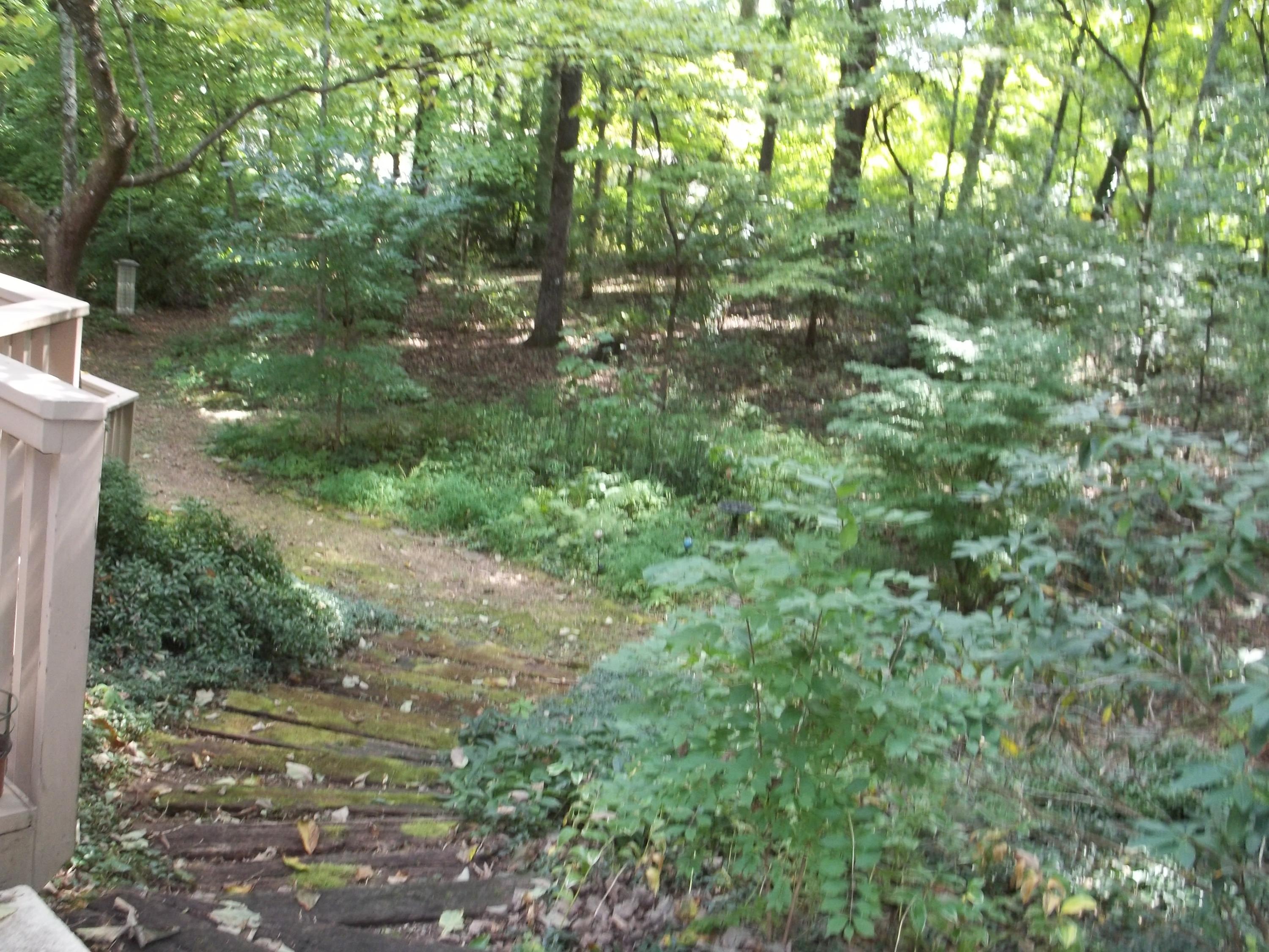 117 Wendover Circle Oak Ridge, TN 37830 - Photo 33 of 40 100_4515