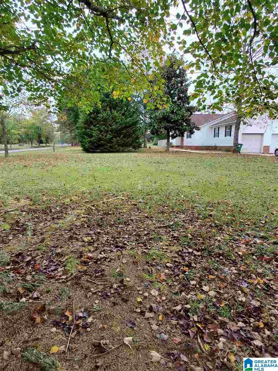 123 County Road 1834 Arab, AL 35016 - Photo 28 of 28