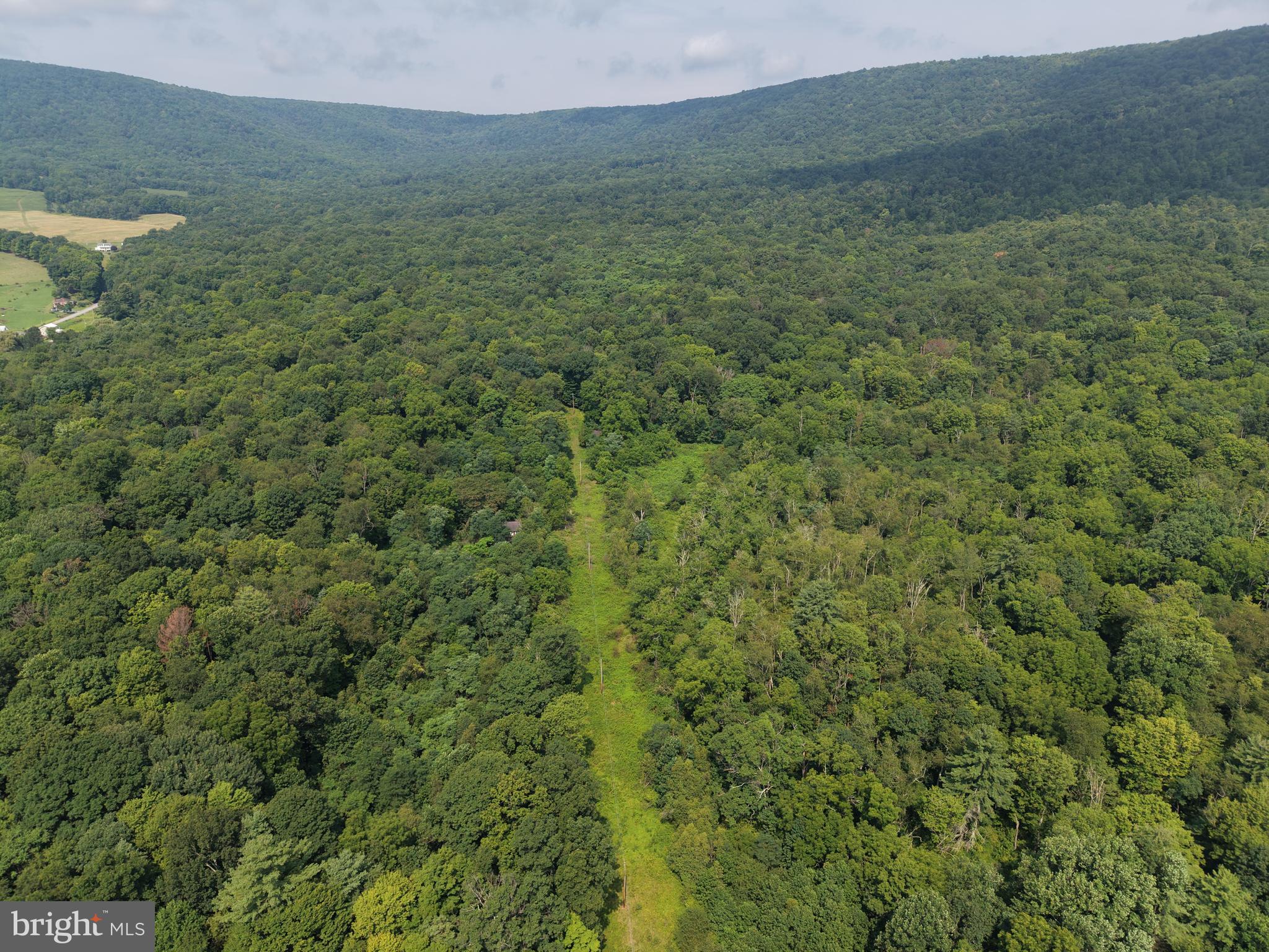 107-acres Schenck Road Wells Tannery, PA 16691 - Photo 1 of 73 Gallery Image 1