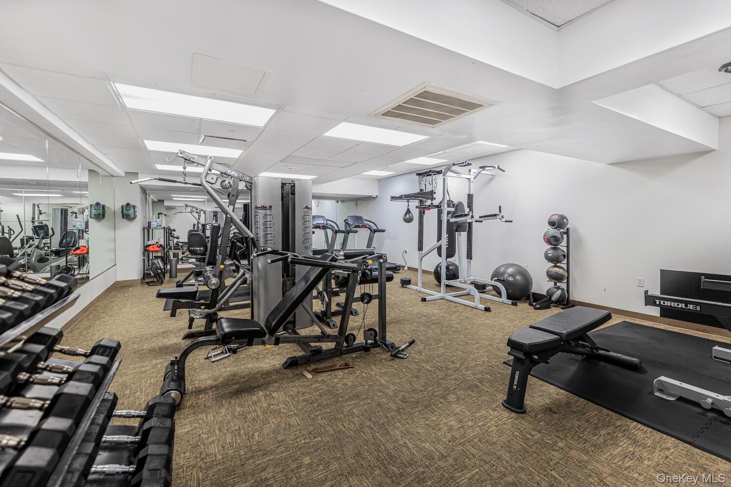 543 Main Street, Unit 204 New Rochelle, NY 10801 - Photo 13 of 17 a view of a room with gym equipment