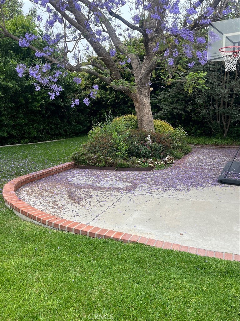 1355 Limerick Drive Placentia, CA 92870 - Photo 31 of 33 a view of a garden with a tree