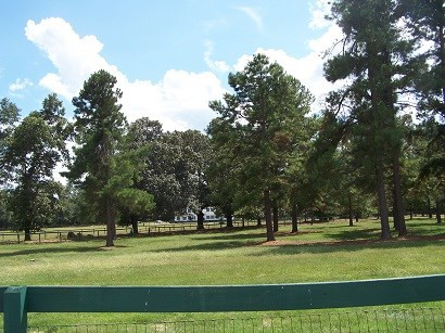 623 Jones Bridge Road North, SC 29112 - Photo 42 of 48