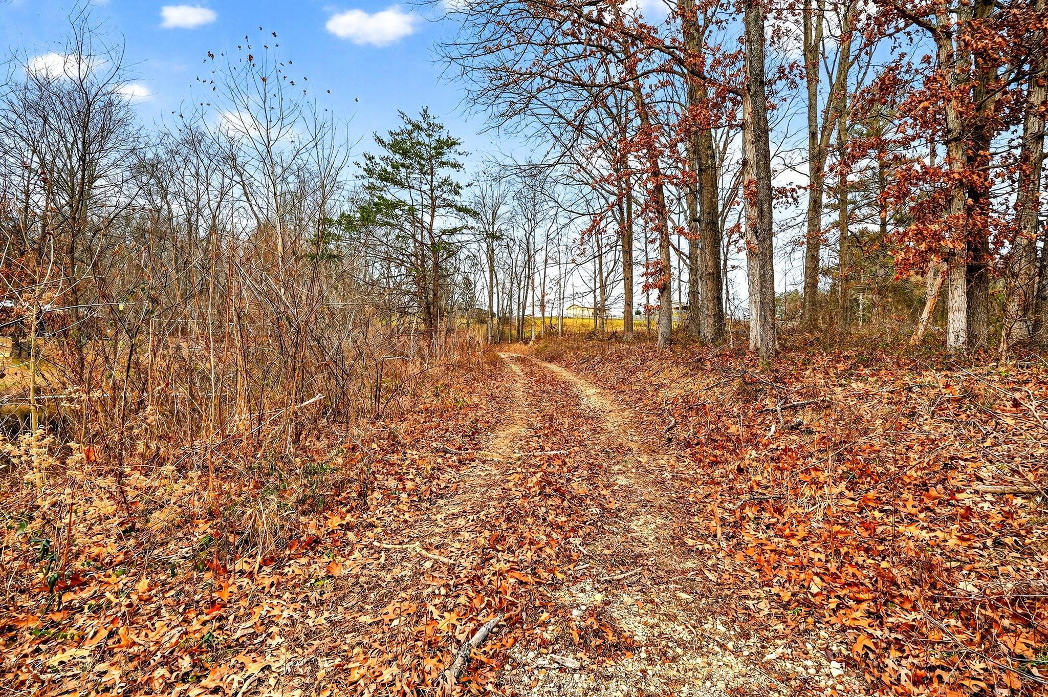 3133 4 Mile Road Jackson, OH 45640 - Photo 9 of 40 8. 3133 Four Mile Rd 42