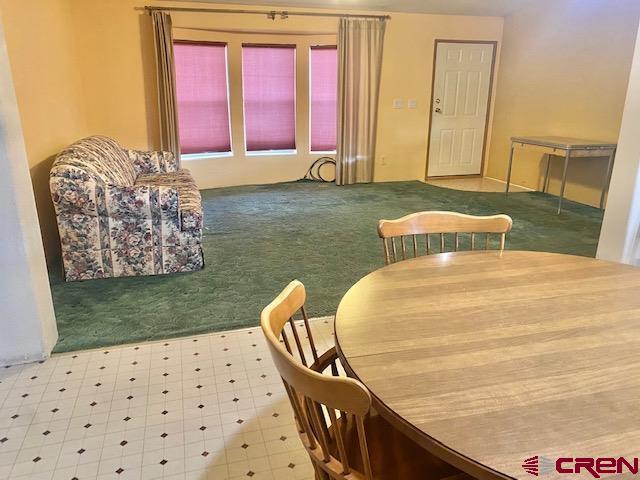 1320 Haystack Road Montrose, CO 81401 - Photo 8 of 27 Gallery Image 8