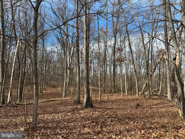 $299,900 | Nestle Quarry, Falling Waters, WV 25419