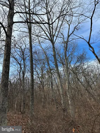 $299,900 | Nestle Quarry, Falling Waters, WV 25419