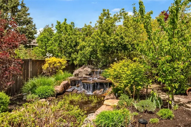 a view of a garden with plants