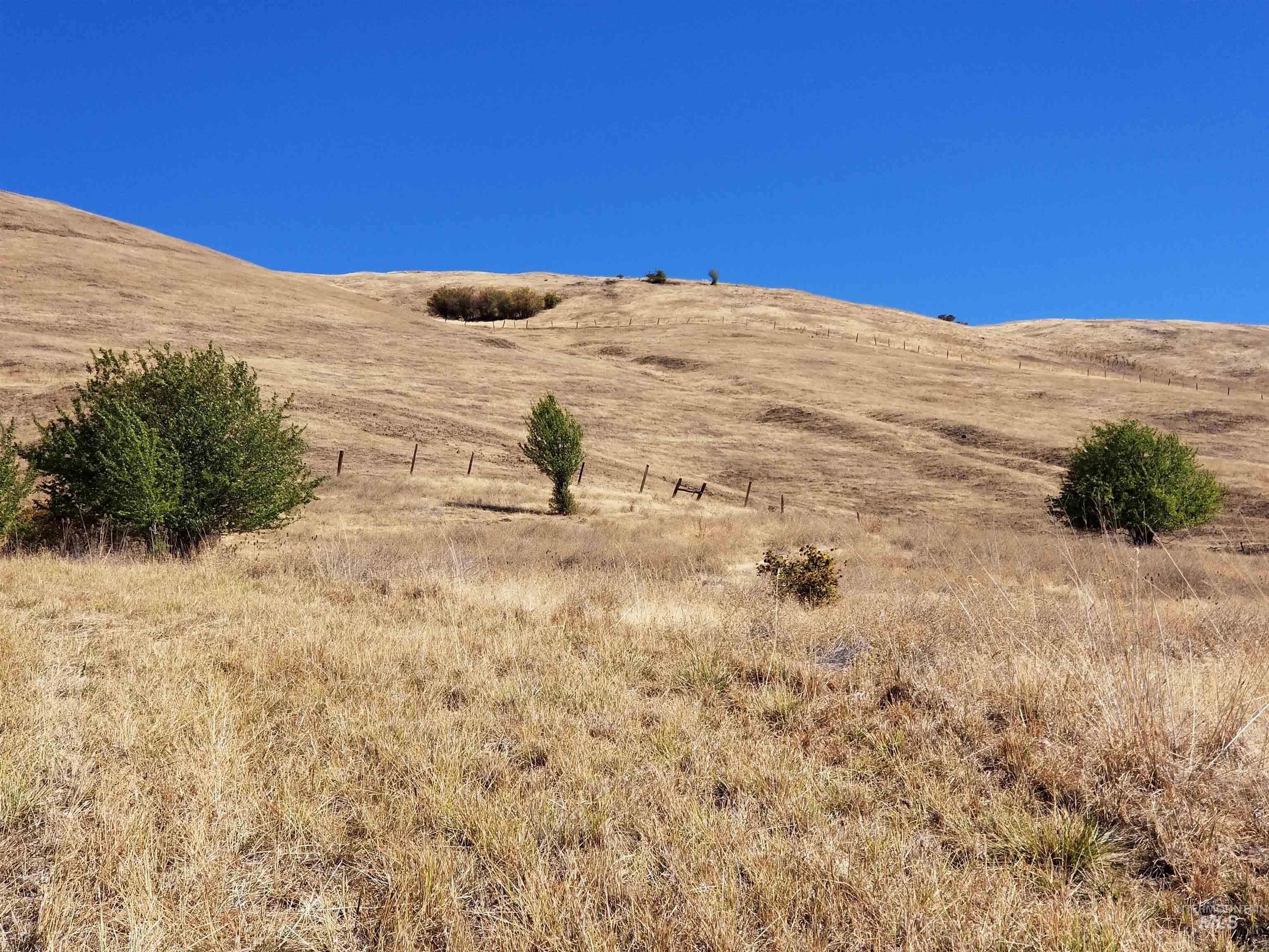 Tbd Sunnyside Bench Road Lenore, ID 83541 - Photo 32 of 37 Gallery Image 32