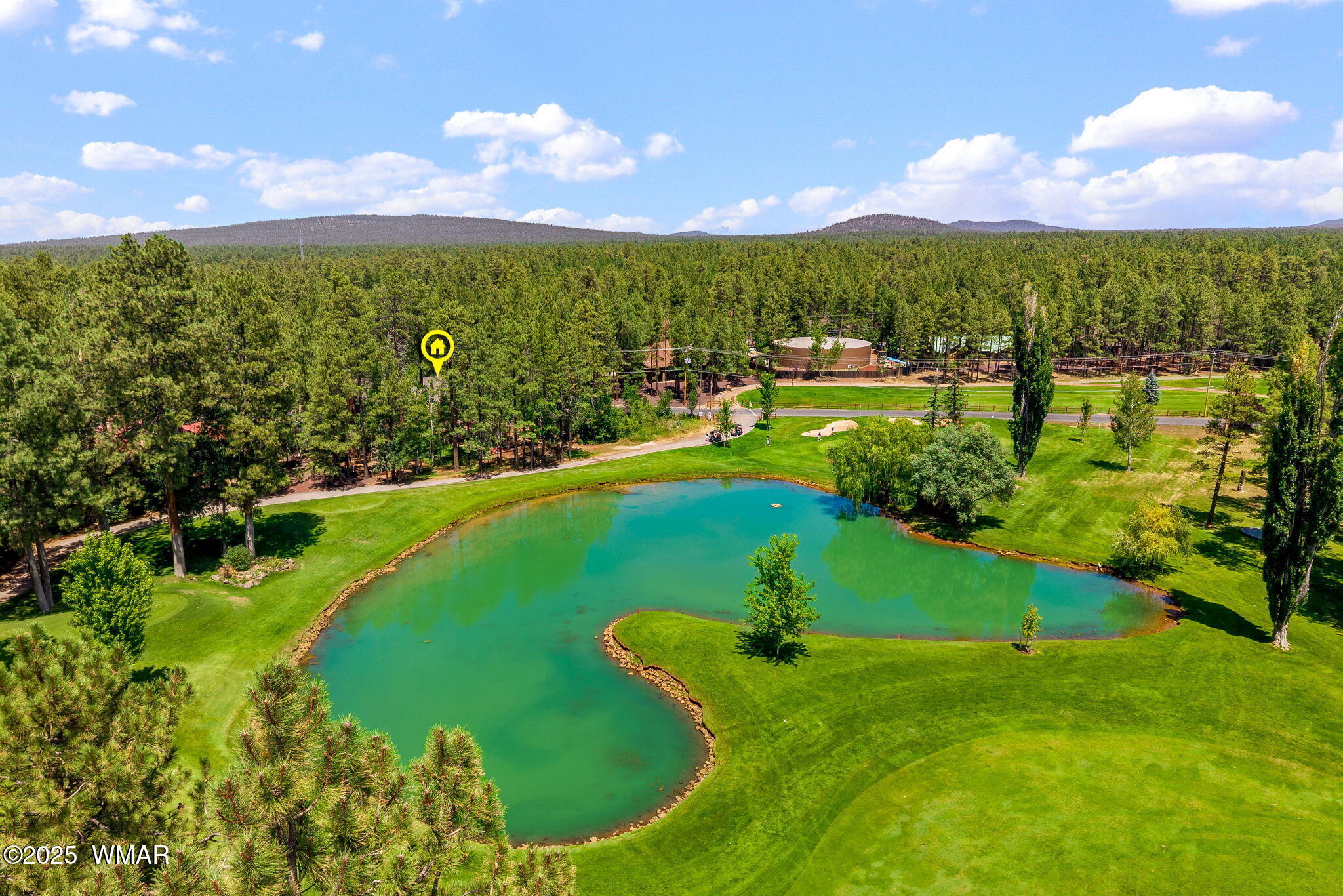 6503 Buck Springs Road Pinetop, AZ 85935 - Photo 50 of 58