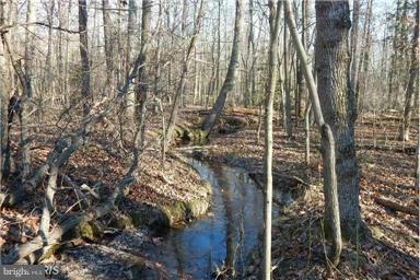 Peaceful creek