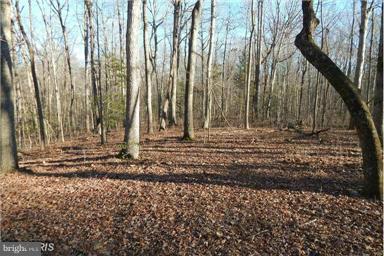 Homesite